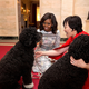 White House photo by Amanda Lucidon